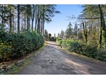 LakeLotforReyesRealEstate6