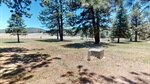 23-Pemdaries-Village-Ln-06162026_160555