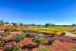 Sun-City-Summerlin_1800x1200_4005146golf