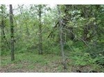 631 Foy St Lot 16,  Mandeville, LA 70448