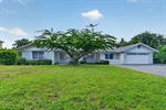 3-web-or-mls-P1316943