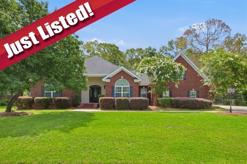 553 Brigham Drive, Richmond Hill, GA 31324