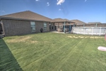 Back Yard View 