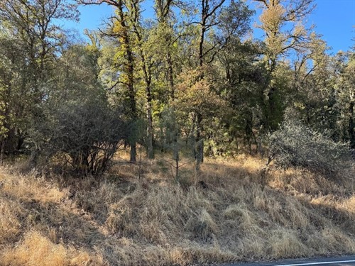 17022 Brewer Rd,  Grass Valley, CA 95949