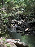Photo 34
