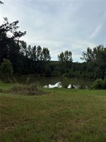Photo 35