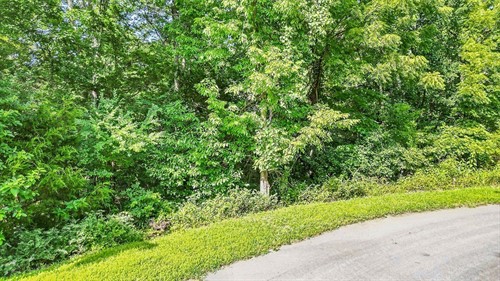 Baston Ln Lot 10,  Bella Vista, AR 72715