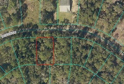 Sequoia Dr, Ocklawaha, FL 32179