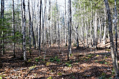 M7 L19-5 Pine Bluff Rd,  Embden, ME 04958