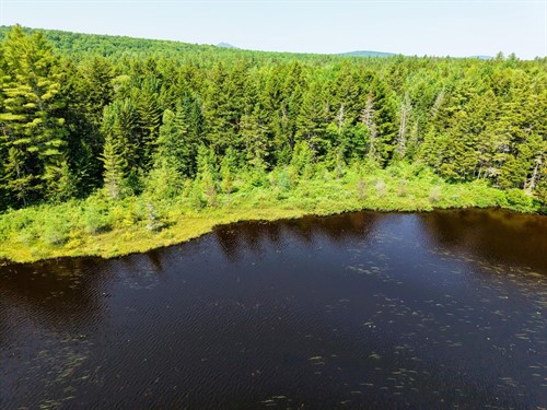 M7 20 Pine Bluff Dr,  Embden, ME 04958