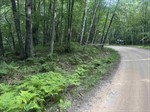 Cherry Lot 968,  Farwell, MI 48622