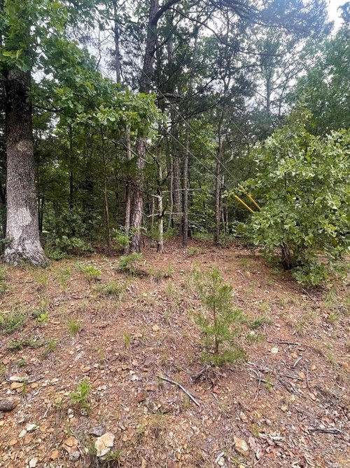Pine Hill Rd Lot 190,  Fairfield Bay, AR 72088