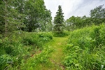 129-web-or-mls-1451 W River Dr-129