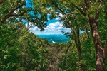 View from 300 Sassafras Mountain Trail