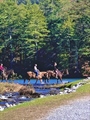 Trail Rides