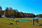 Bocce Ball
