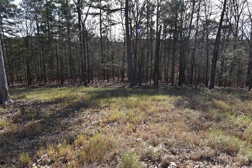 Tract 14 Sunnyside of the Bay,  Fairfield Bay, AR 72088