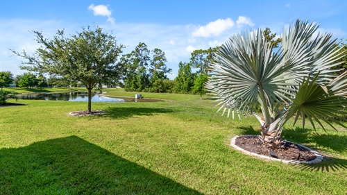 3899 Winged Elm Court, Clermont, FL 34714