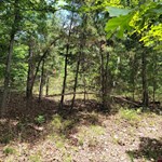 Reynolds Island Cv Lot 2,  Elizabeth, AR 72531