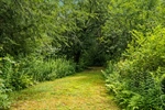 12-web-or-mls-40MillRoadRichmondNH-13