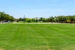 3934-e-spring-wheat-ct-Field and Basketball courts