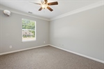 Lovely window and lighted ceiling fan.