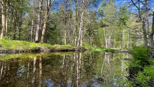 339 Long Pond Rd,  Jackman, ME 04945