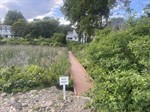 Photo 62