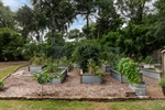 Raised garden beds.