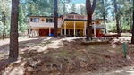 13-Forest-08032026_152246