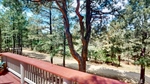 13-Forest-08032026_151841