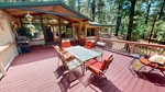 13-Forest-08032026_151828