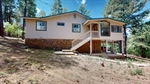 13-Forest-08032026_151943
