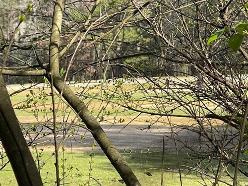 Mountain Ranch Dr Lot 152,  Fairfield Bay, AR 72088