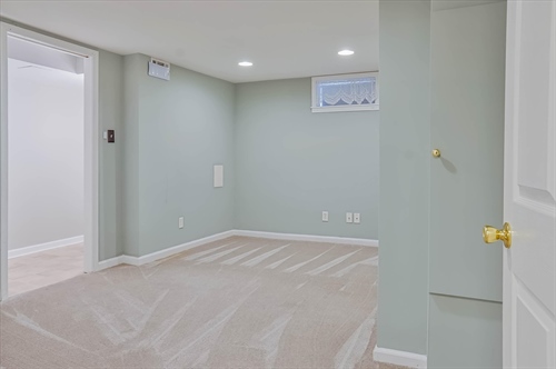 Lower level finished room