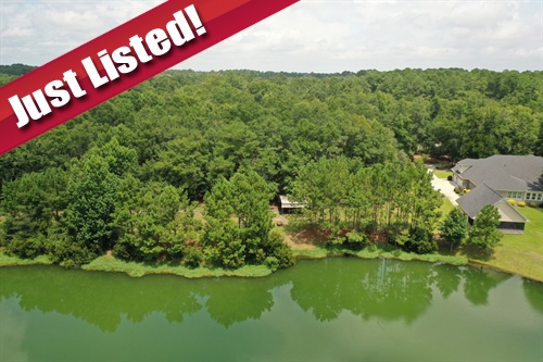 1954 Oak Level Road,  Richmond Hill, GA 31324