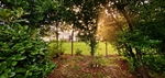 09 Rear Yard5