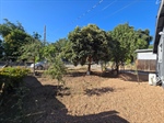 frontyard