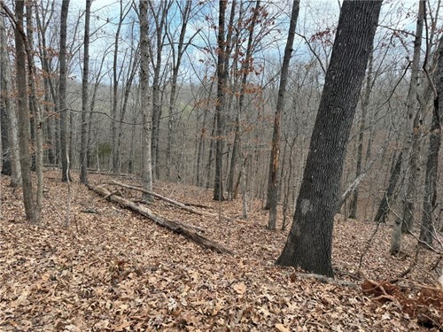 Celtic Dr Lot 15,  Bella Vista, AR 72714
