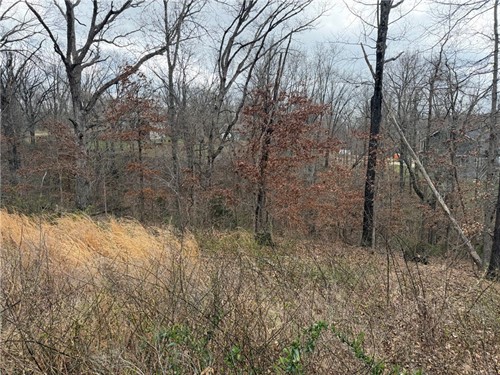 Ludborough Ln Lot 17,  Bella Vista, AR 72715