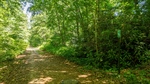 DJI_0536