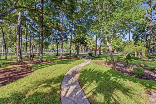 Mature trees are a highlight of the yard