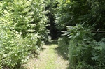 Interior Roads