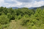 Road to Camping Shed