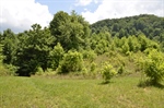 Possible House Site