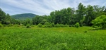 One of Many Possible House Sites