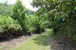 Road to the right goes to the barn