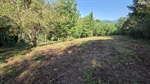Upper Pasture
