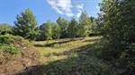 Upper Pasture