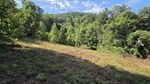 Upper Pasture